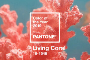 Living Coral / manzuko