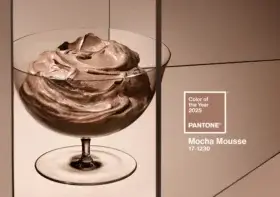 Mocha mousse — kolor 2025 według Instytutu Pantone