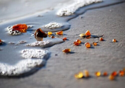 Jakie kamienie występują w Polsce?