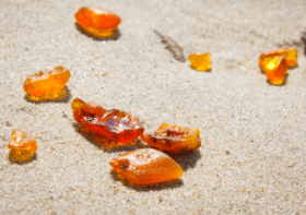 Targi bursztynu Amberif – serce światowego bursztynnictwa